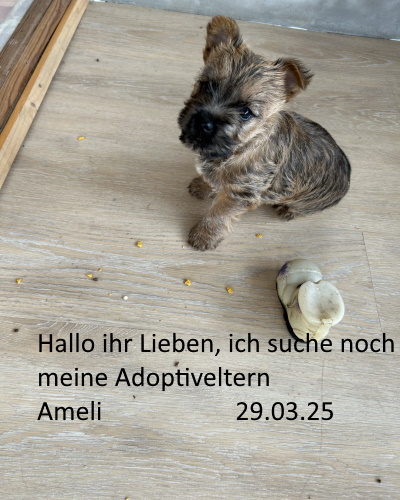 wurf_070225.htm