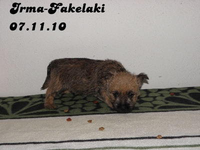 Irma-Fakelaki, adoptiert