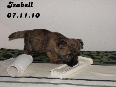 Isabell bleibt!! 