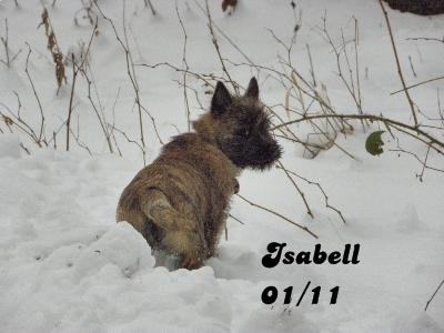 Isabell bleibt!! 