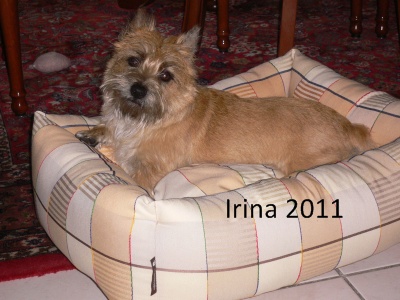 Irina, adoptiert