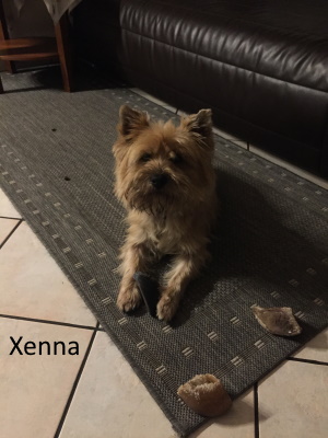 xenna