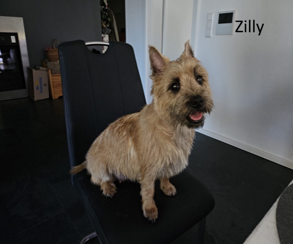 zilly